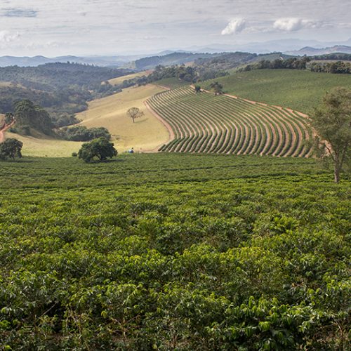 Coffee Origin trip to Brazil
